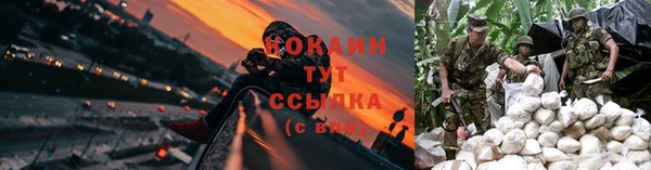 мдпв Лагань