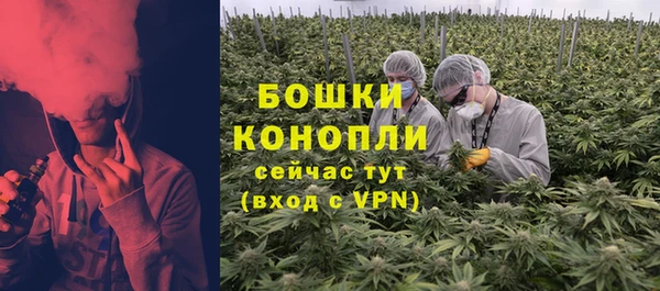 мдпв Лагань