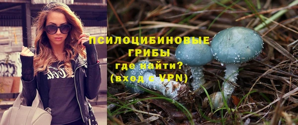 мдпв Лагань