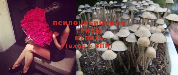 спиды Лабытнанги