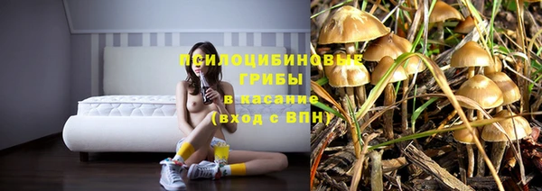 спиды Лабытнанги